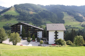 Гостиница Mühlbach Alpendomizil II, Мюльбах-Ам-Хохкёниг